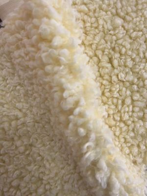 100% полиэстерная ткань из бархатной ткани Teddy fleece для одежды домашняя текстиль подушки и игрушки